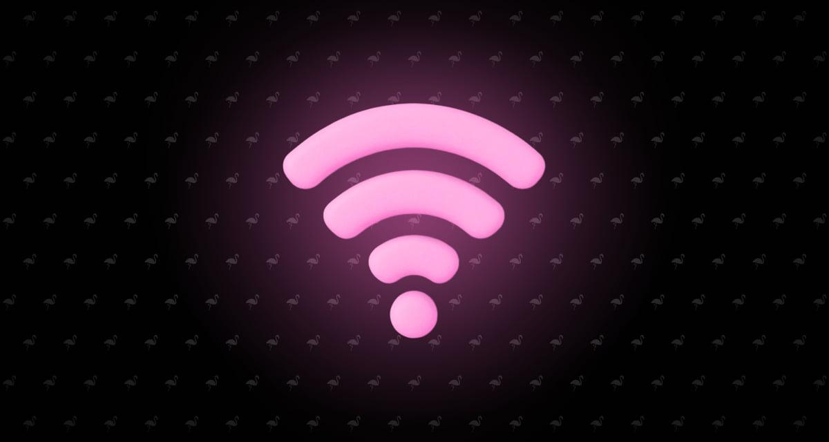What Is WLAN? Wireless LAN Basics for Office Networks
